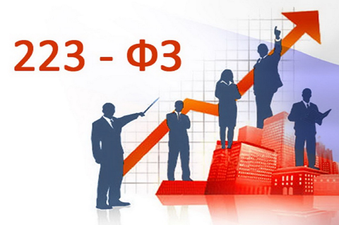 Школа госзакупок: «Федеральный закон от 18 июля 2011 года № 223-ФЗ «О закупках товаров, работ, услуг отдельными видами юридических лиц»